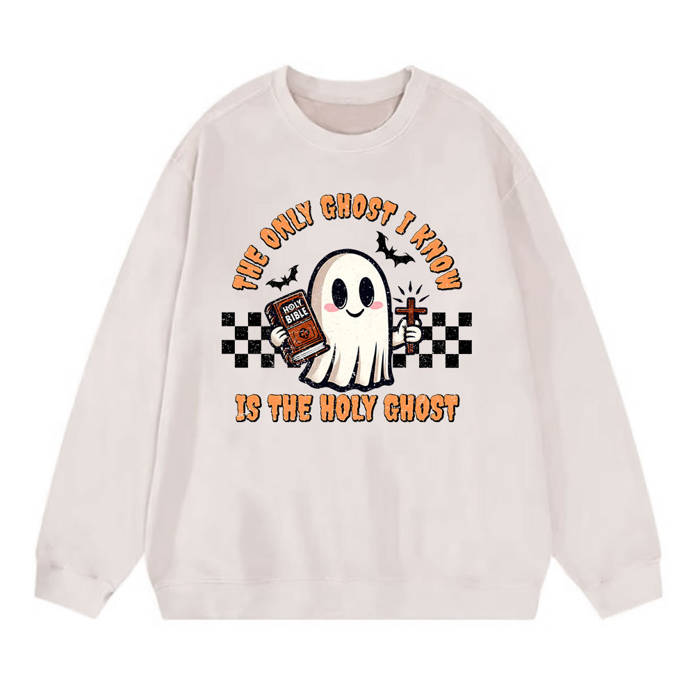 The Only Ghost I Know Is The Holy Ghost Christian Washed Sweatshirt