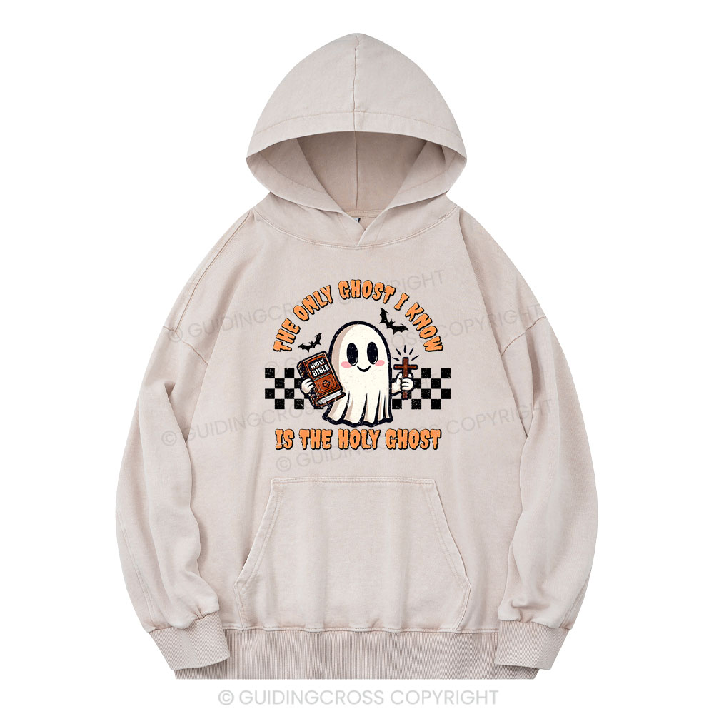 The Only Ghost I Know Is The Holy Ghost Christian Washed Hoodie