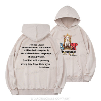 My Hope Is In The Lamb Christian Washed Hoodie