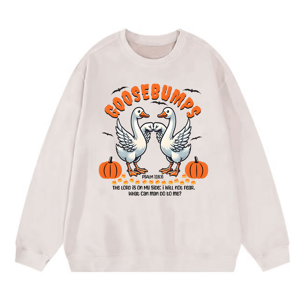 Goosebumps Christian Washed Sweatshirt