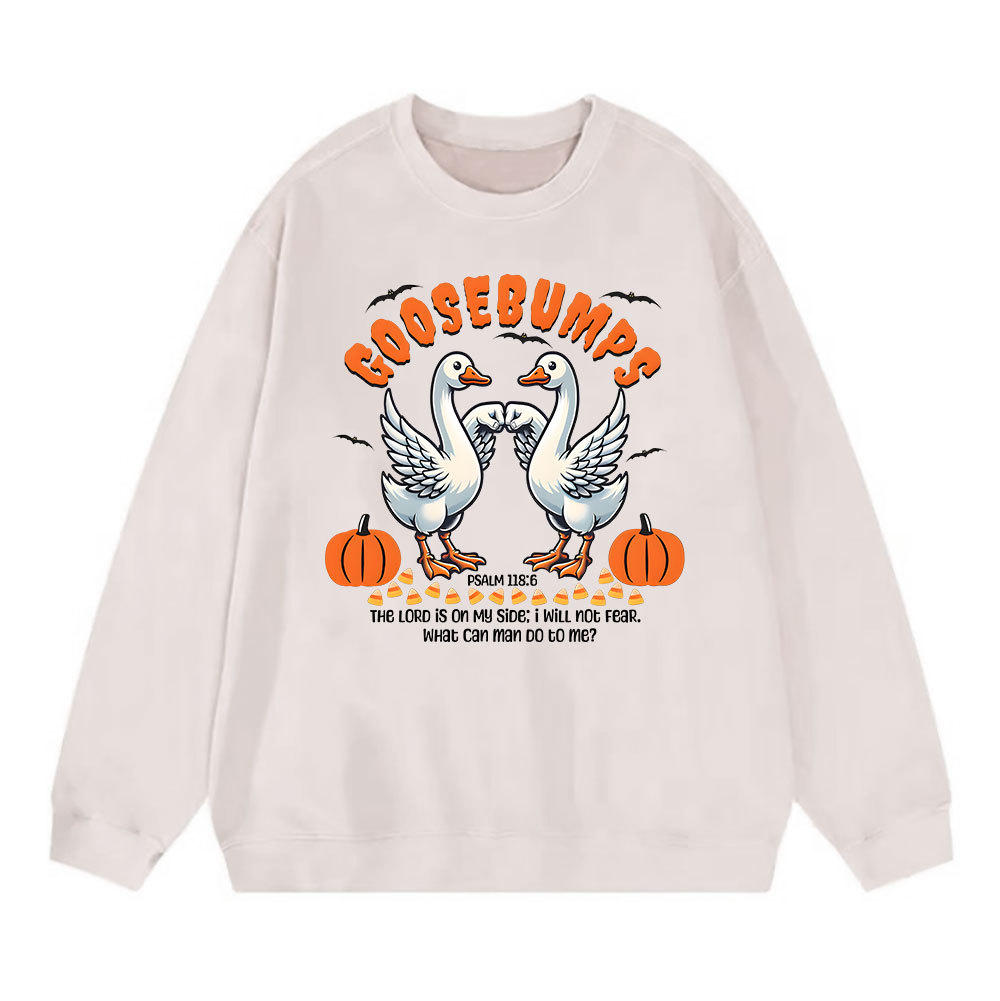 Goosebumps Christian Washed Sweatshirt