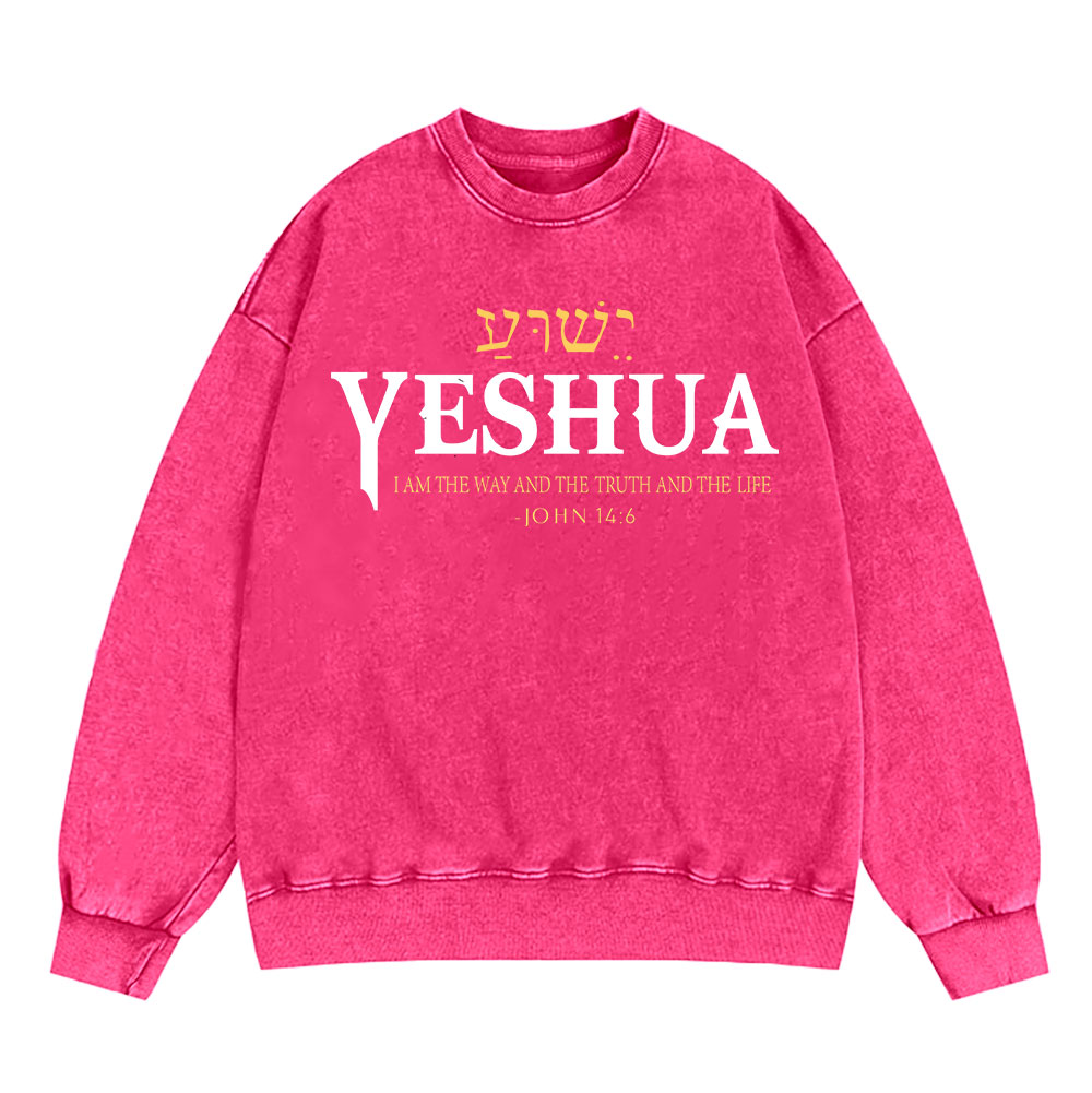 Yeshua Lion Christian Washed Sweatshirt Sale - GuidingCross