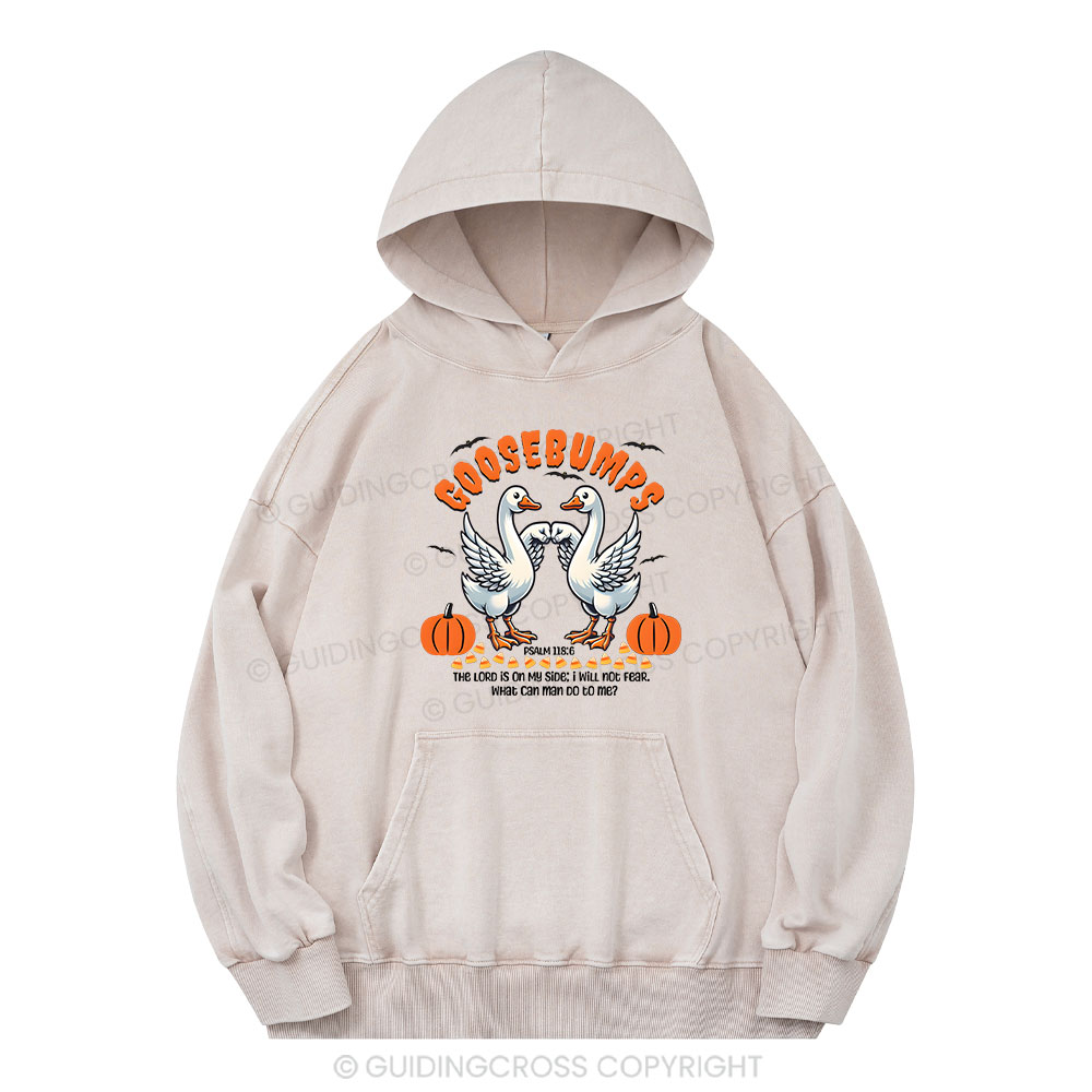 Goosebumps Christian Washed Hoodie