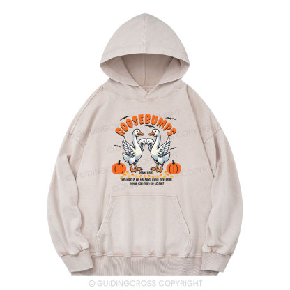 Goosebumps Christian Washed Hoodie