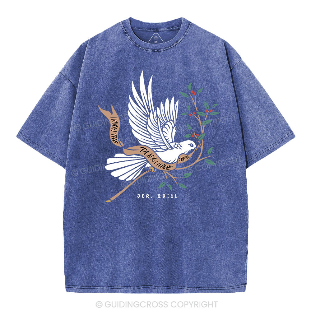 I Know The Plans I Have For You Christian Washed T-Shirt