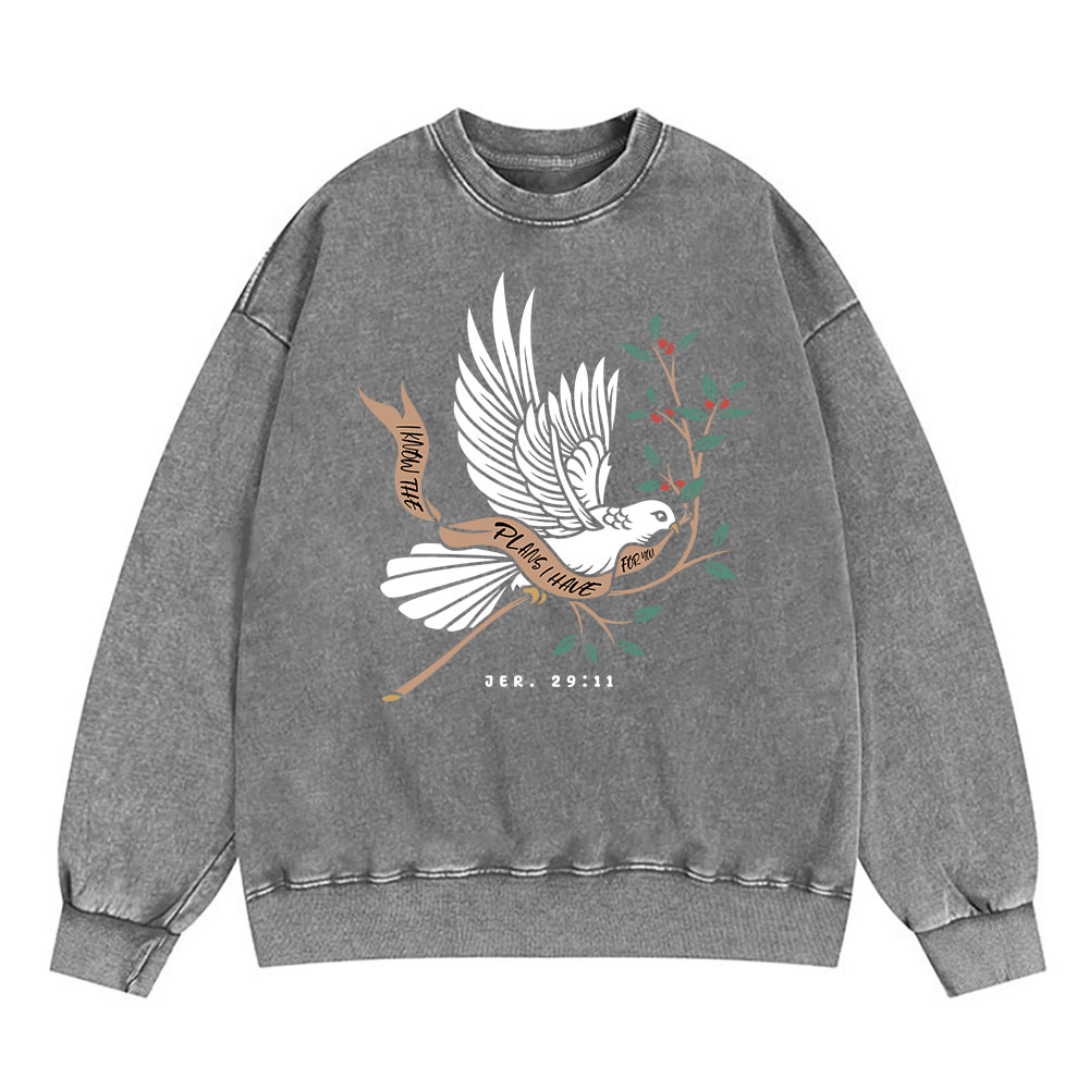 I Know The Plans I Have For You Christian Washed Sweatshirt