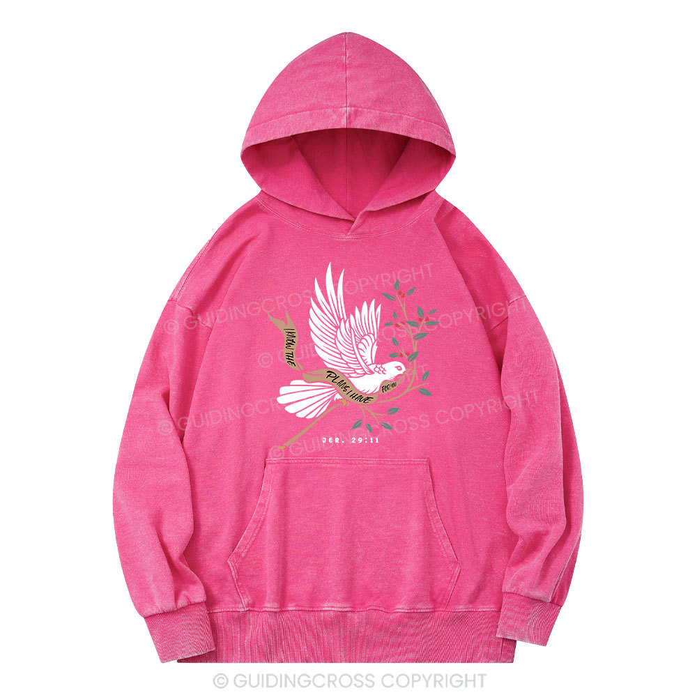 I Know The Plans I Have For You Christian Washed Hoodie