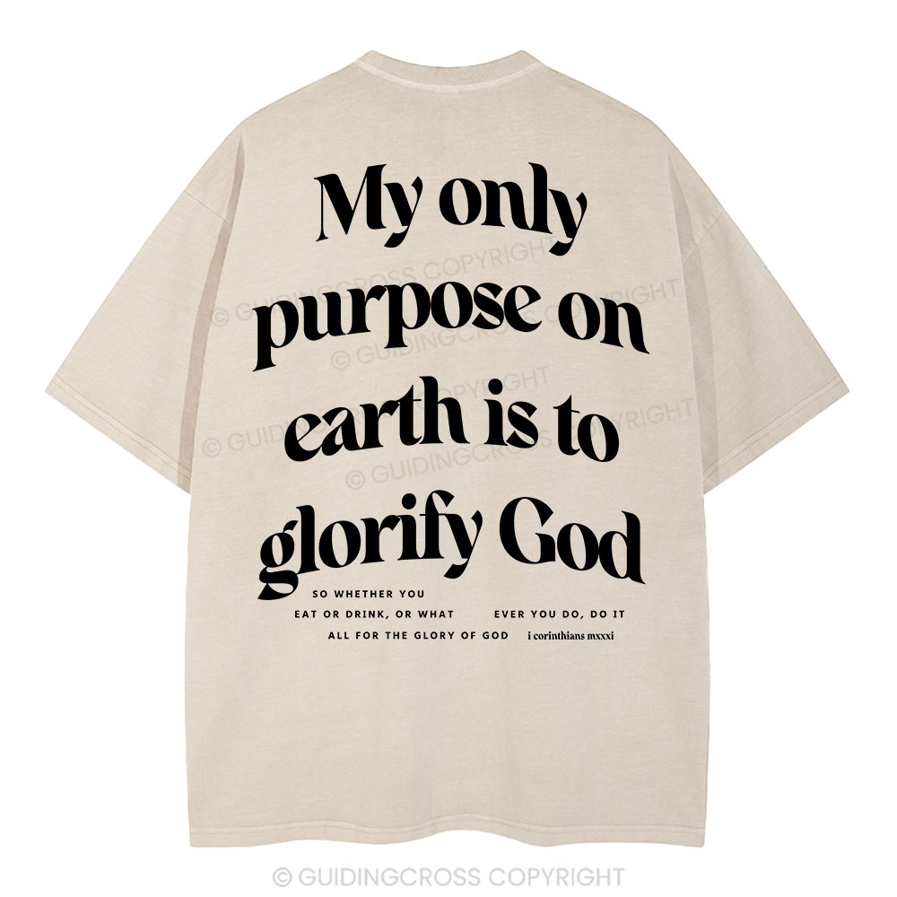 My Only Purpose Christian Washed T-Shirt