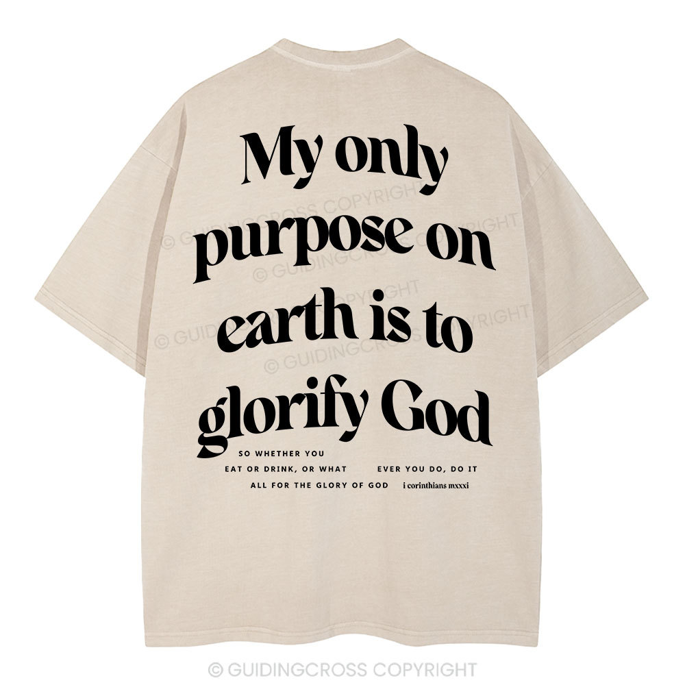 My Only Purpose Christian Washed T-Shirt