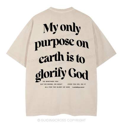 My Only Purpose Christian Washed T-Shirt