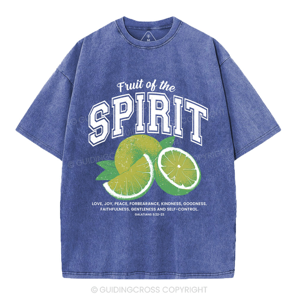 Fruit Of The Spirit Christian Washed T-Shirt