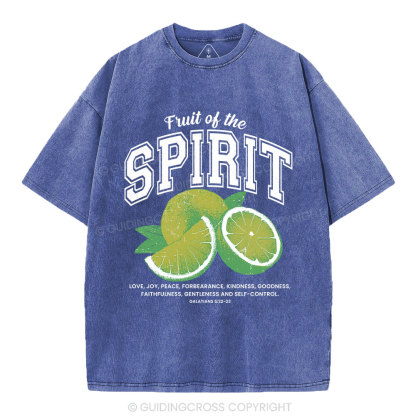 Fruit Of The Spirit Christian Washed T-Shirt