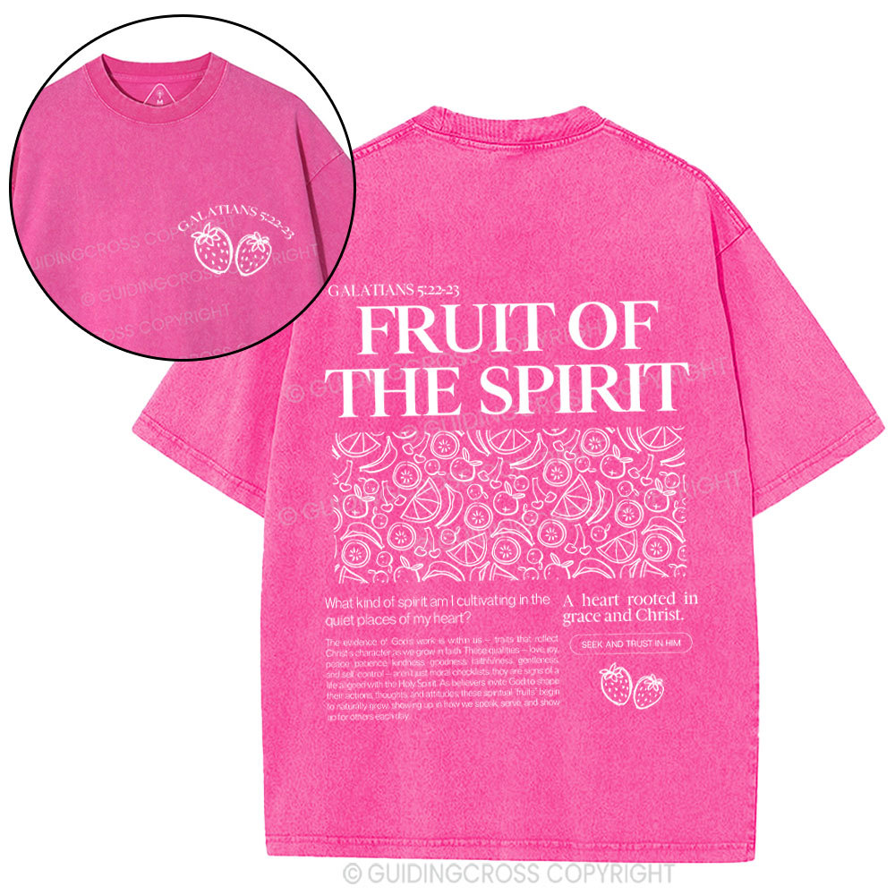 Fruit Of Spirit Christian Washed T-Shirt