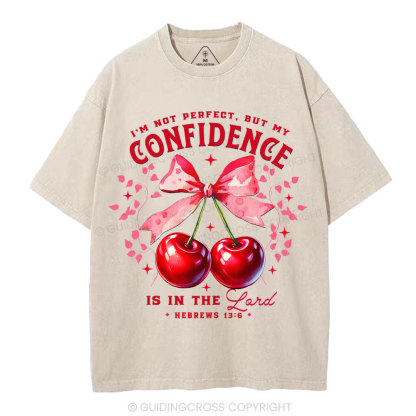 I'm Not Perfect But My Godfidence Is In The Lord Christian Washed T-Shirt