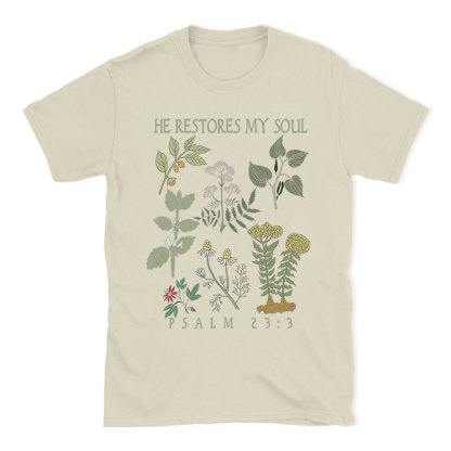 He Restores My Soul Christian T-Shirt