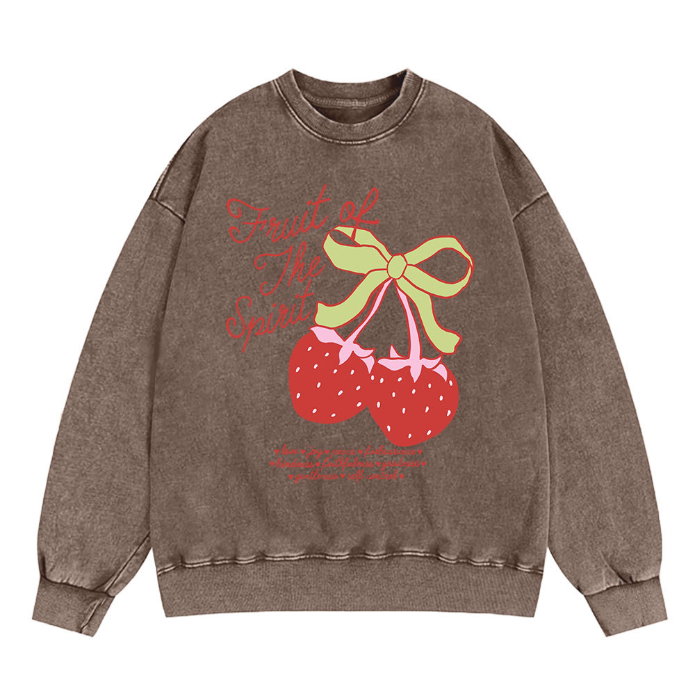 Fruit Of The Spirit Christian Washed Sweatshirt