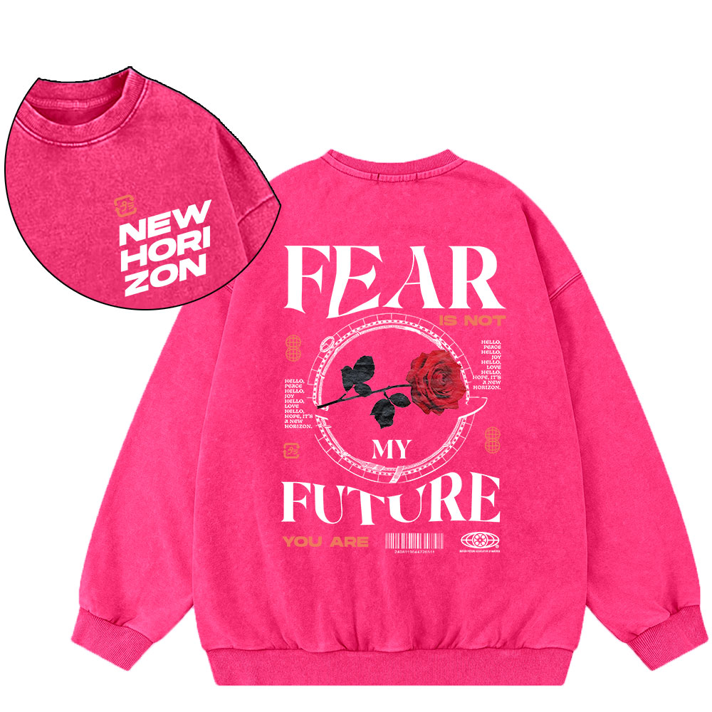 Fear Future Christian Washed Sweatshirt
