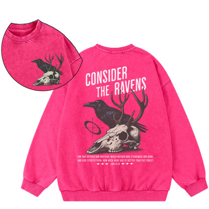 Consider The Ravens Christian Washed Sweatshirt