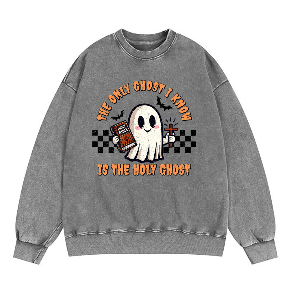 The Only Ghost I Know Is The Holy Ghost Christian Washed Sweatshirt