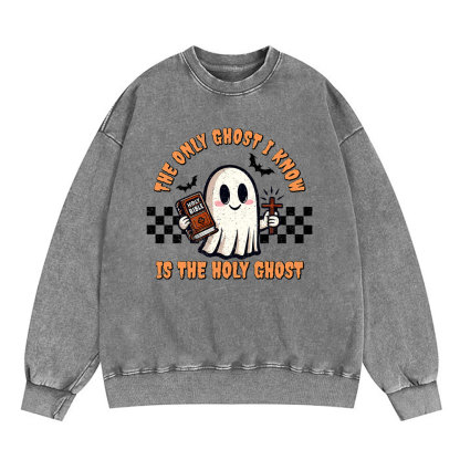 The Only Ghost I Know Is The Holy Ghost Christian Washed Sweatshirt