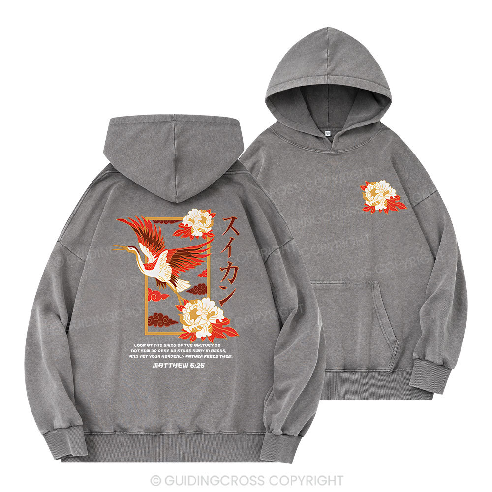 Look At The Birds Christian Washed Hoodie