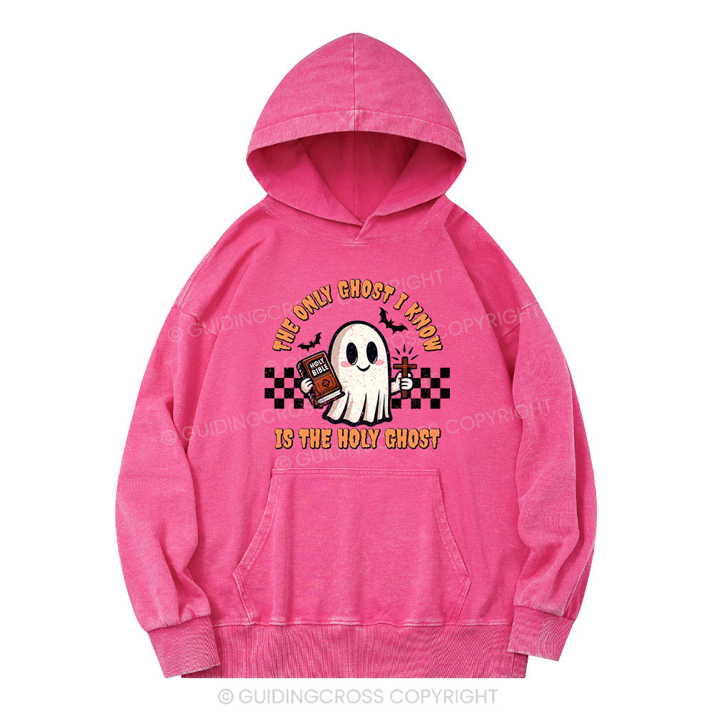 The Only Ghost I Know Is The Holy Ghost Christian Washed Hoodie