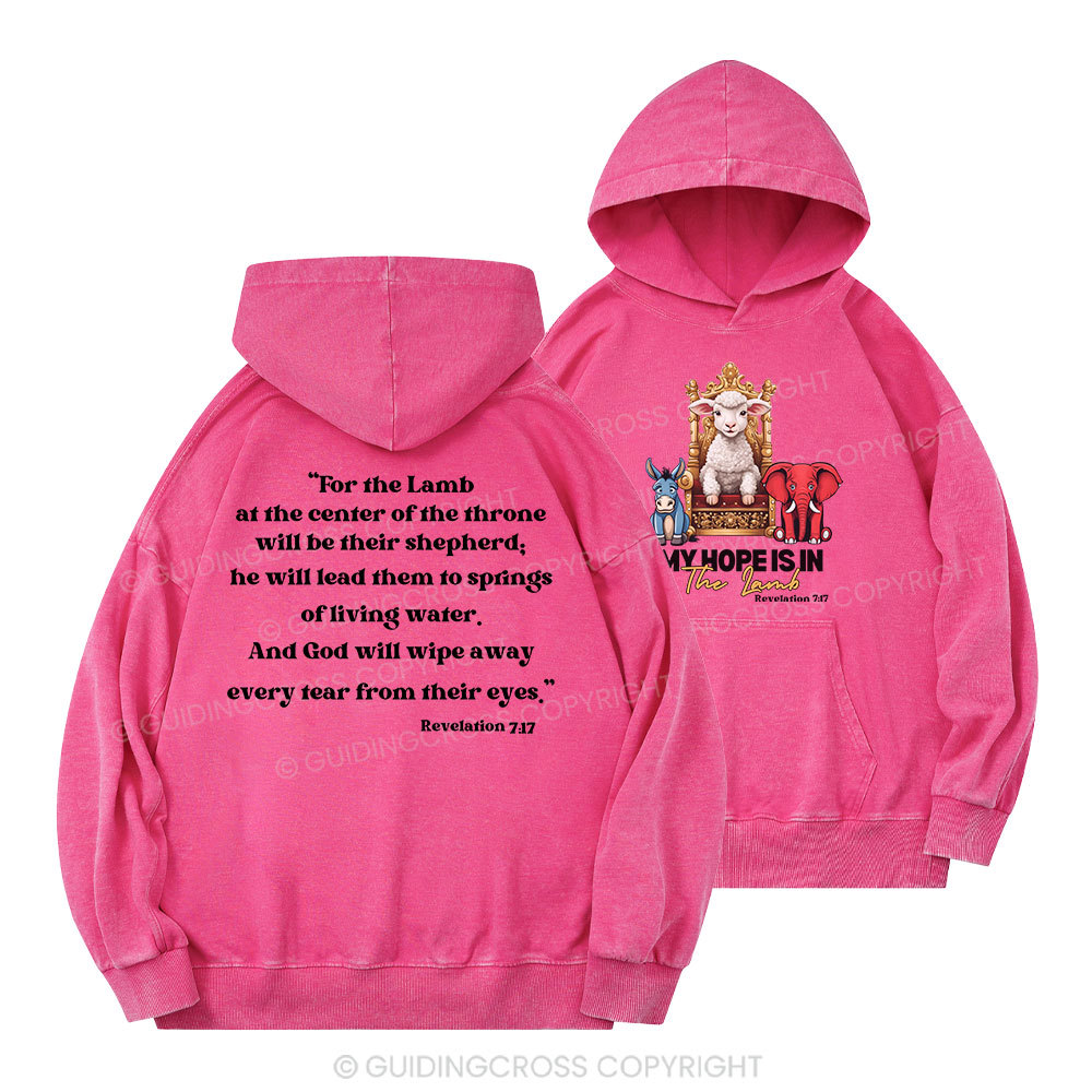 My Hope Is In The Lamb Christian Washed Hoodie