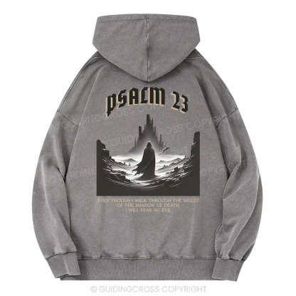 Psalm Christian Washed Hoodie