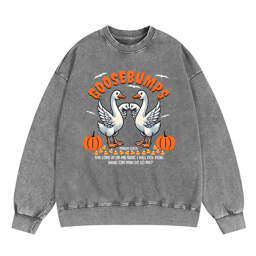 Goosebumps Christian Washed Sweatshirt