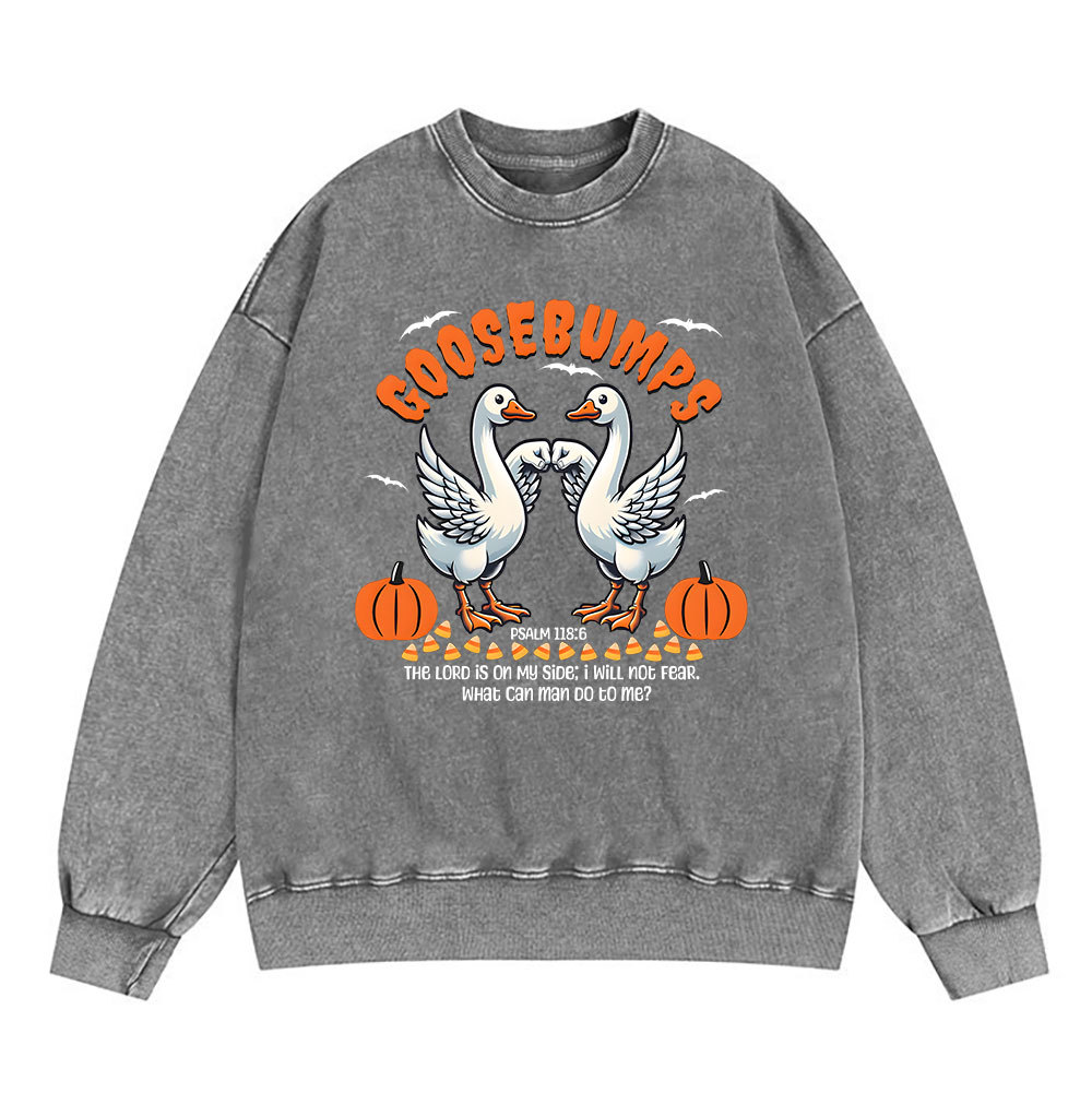 Goosebumps Christian Washed Sweatshirt