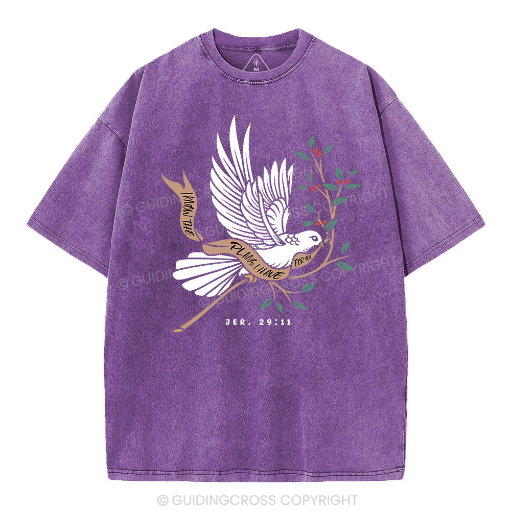 I Know The Plans I Have For You Christian Washed T-Shirt