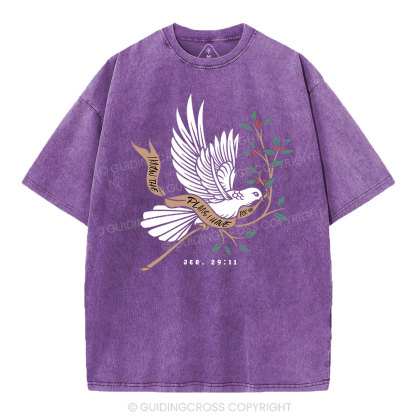 I Know The Plans I Have For You Christian Washed T-Shirt