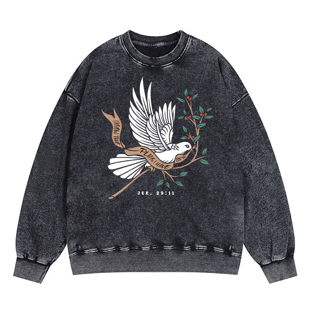 I Know The Plans I Have For You Christian Washed Sweatshirt