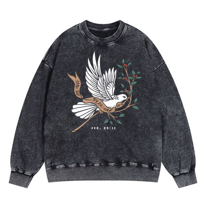 I Know The Plans I Have For You Christian Washed Sweatshirt