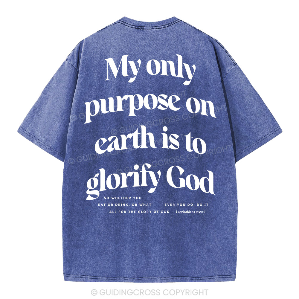 My Only Purpose Christian Washed T-Shirt