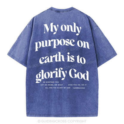 My Only Purpose Christian Washed T-Shirt
