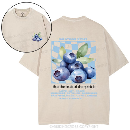 Friut Of The Spirit Christian Washed T-Shirt
