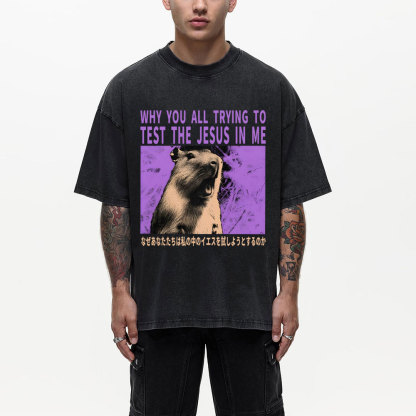 Why You All Trying To Test The Jesus In Me  Christian Washed T-Shirt