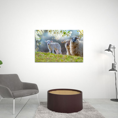 Cute Newborn Lamb Close Up Christian Canvas Wall Art