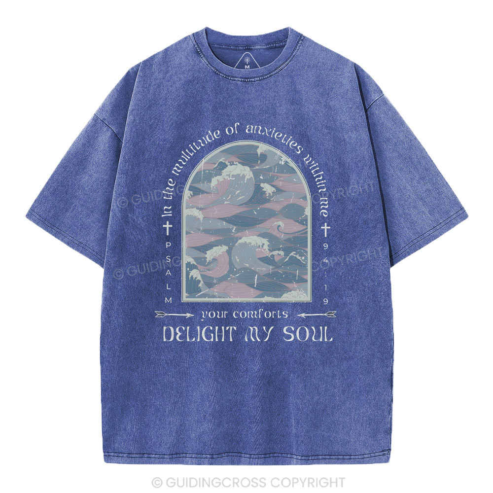 Delight My Soul Christian Washed T-Shirt