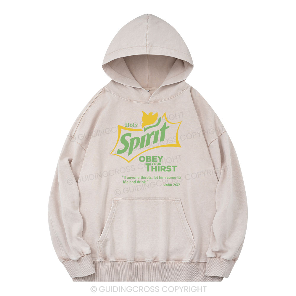 Holy Spirit Christian Washed Hoodie