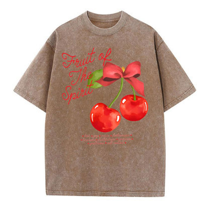 Fruit Of Spirit Christian Washed T-Shirt