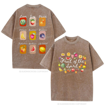 Fruit Of Spirit Christian Washed T-Shirt