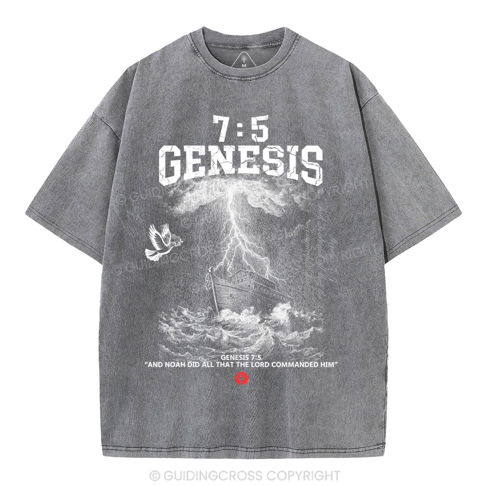 Noah's Ark Christian Washed T-Shirt