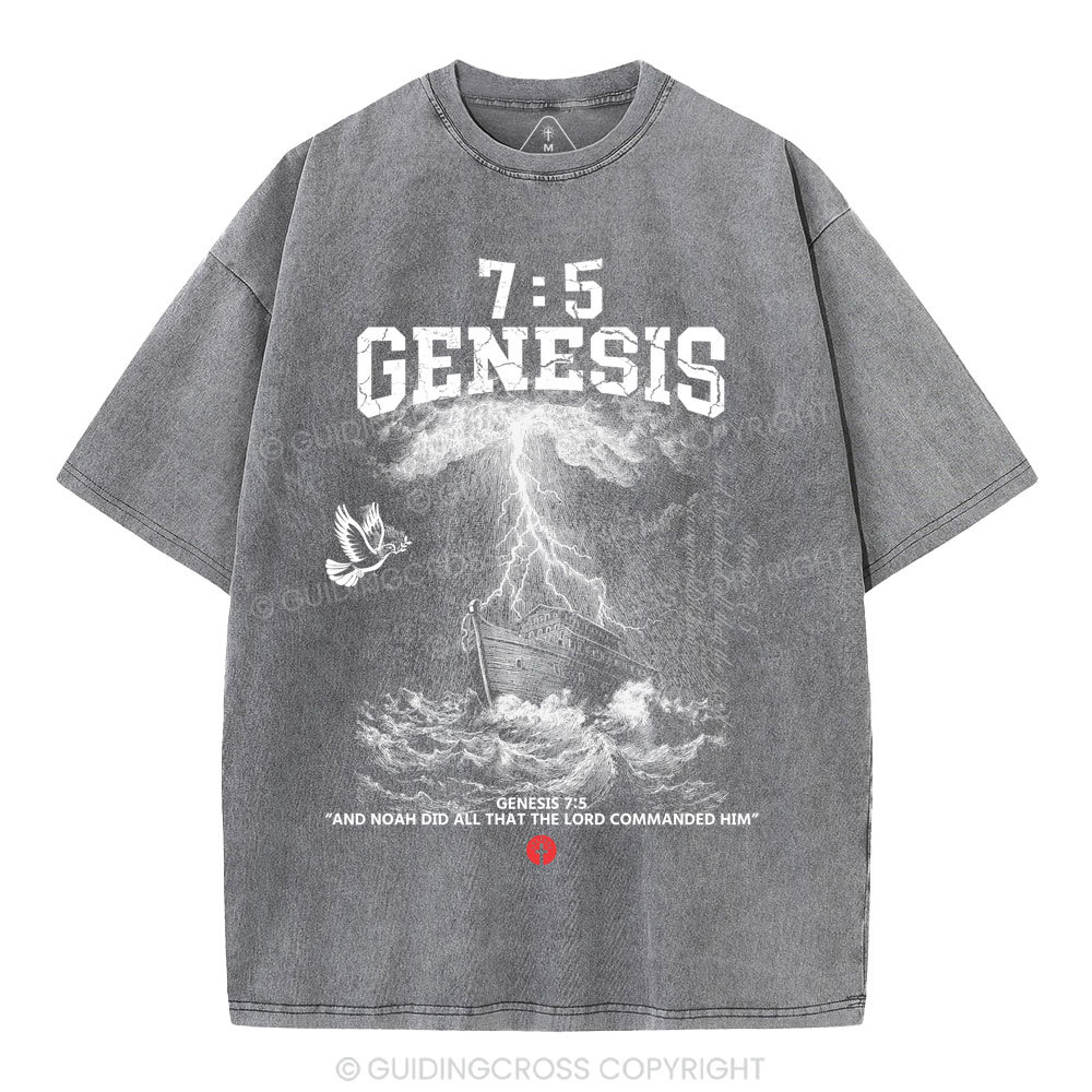 Noah's Ark Christian Washed T-Shirt