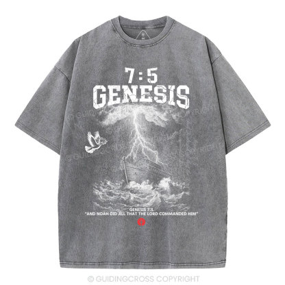 Noah's Ark Christian Washed T-Shirt