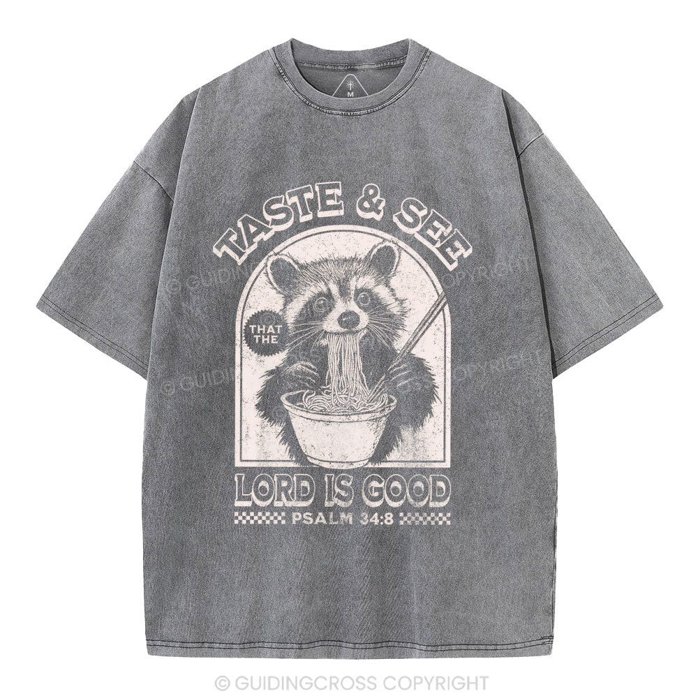Taste & See Lord Is Good Christian Washed T-Shirt