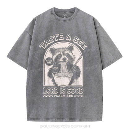 Taste & See Lord Is Good Christian Washed T-Shirt