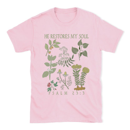 He Restores My Soul Christian T-Shirt