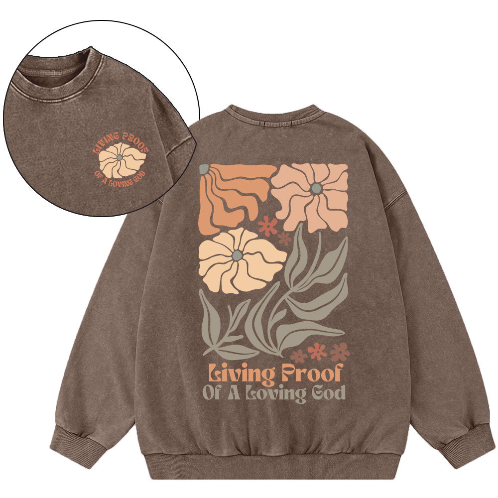 Living Proof Of A Loving God Christian Washed Sweatshirt
